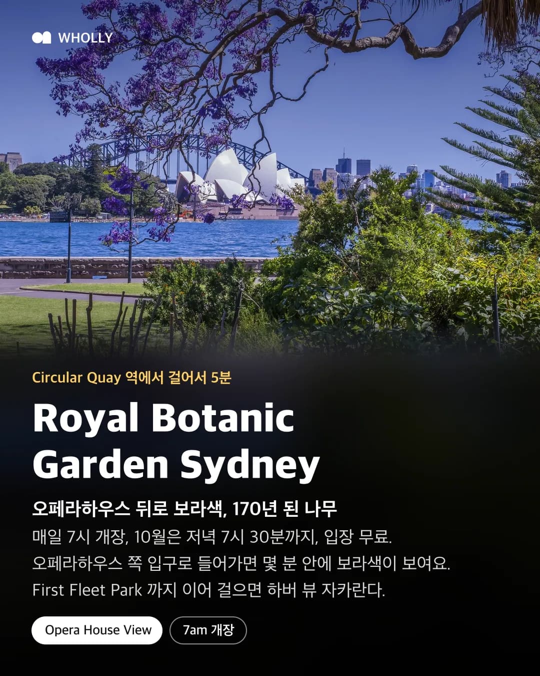 Royal Botanic Garden Sydney 자카란다 가지 사이로 보이는 오페라하우스와 개장 시간, 무료 입장 팁