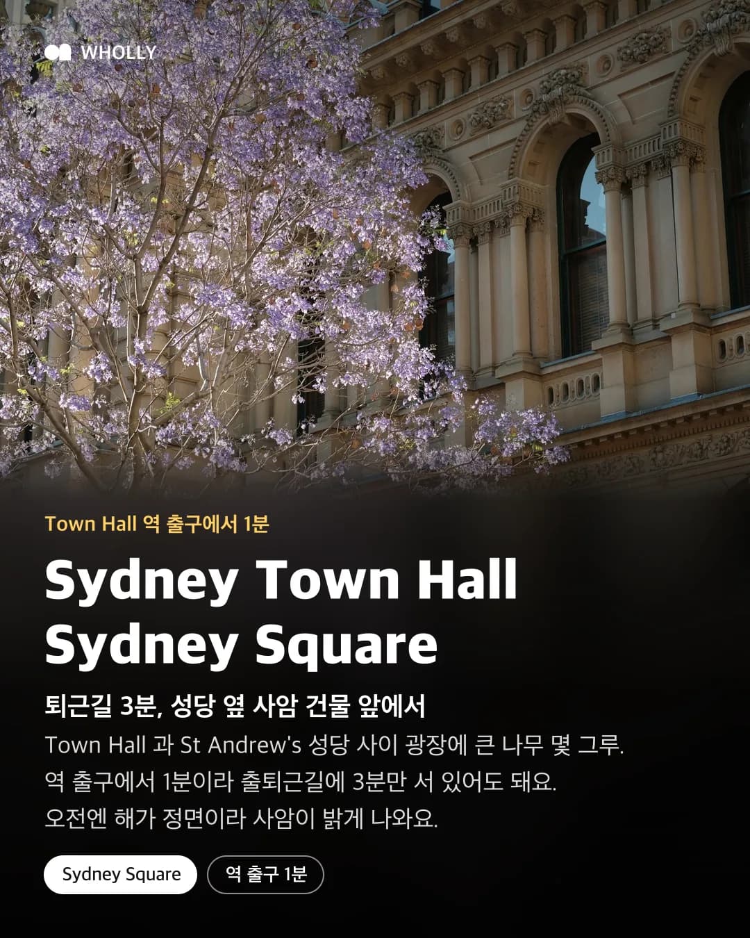 Sydney Town Hall 정면의 자카란다와 역 출구에서 1분, 출퇴근길 방문 팁